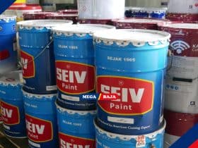 seiv paint