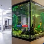 9 Inspirasi Gaya Aquascape Populer untuk Dekorasi Rumah