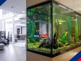 9 Inspirasi Gaya Aquascape Populer untuk Dekorasi Rumah