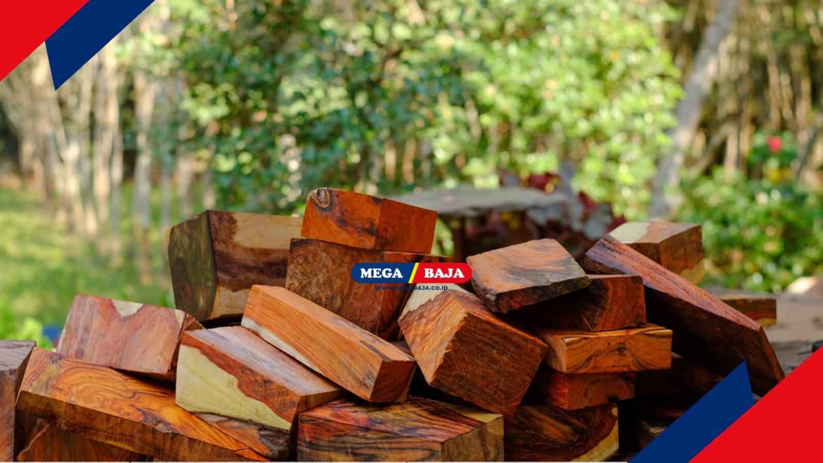 Kayu Sonokeling_ Kayu Mewah Jawa yang Mulai Langka