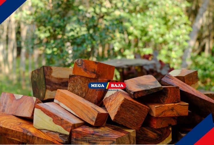 Kayu Sonokeling_ Kayu Mewah Jawa yang Mulai Langka