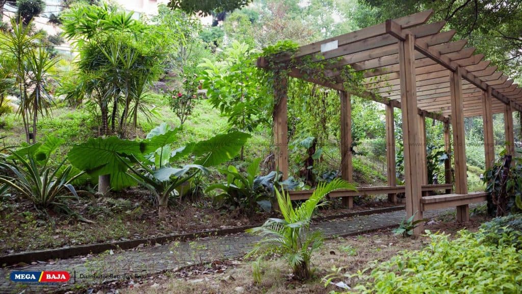 Pergola for Entrance