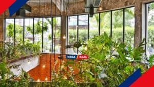 Tips Membuat Taman Minimalis Dan Perawatannya Di Dalam Rumah