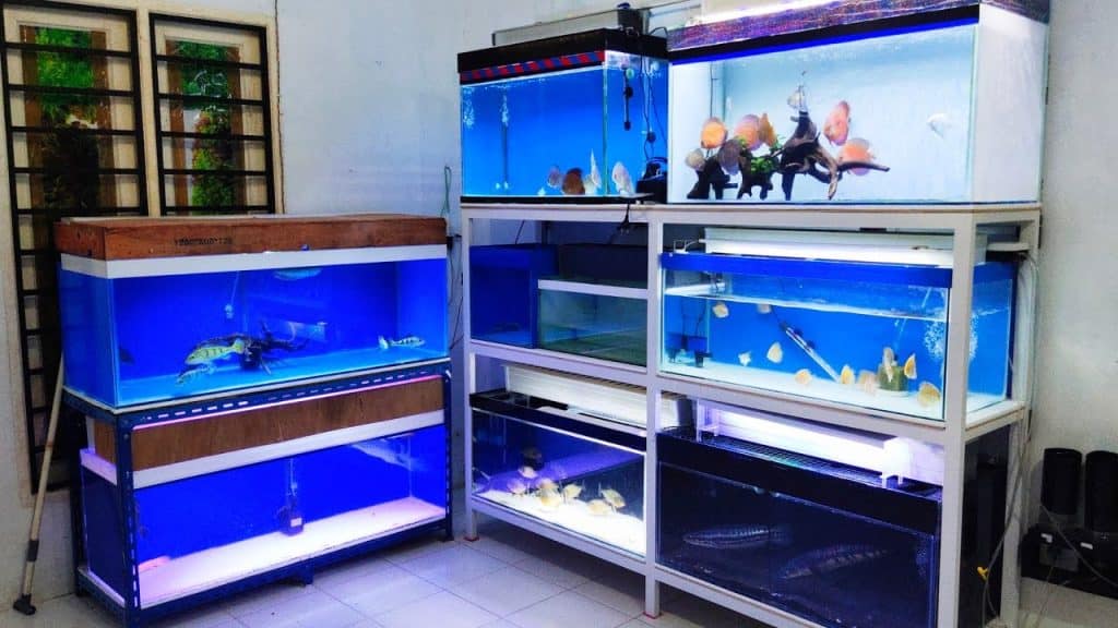 Meja aquarium besi siku