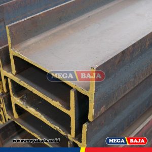 WF 300 X 12M LBI