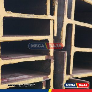 PIPA 8MM MW WF 6M