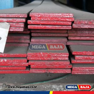 PLAT STRIP 5 X 50 X 6F ( 4.6 X 50 X 6 )