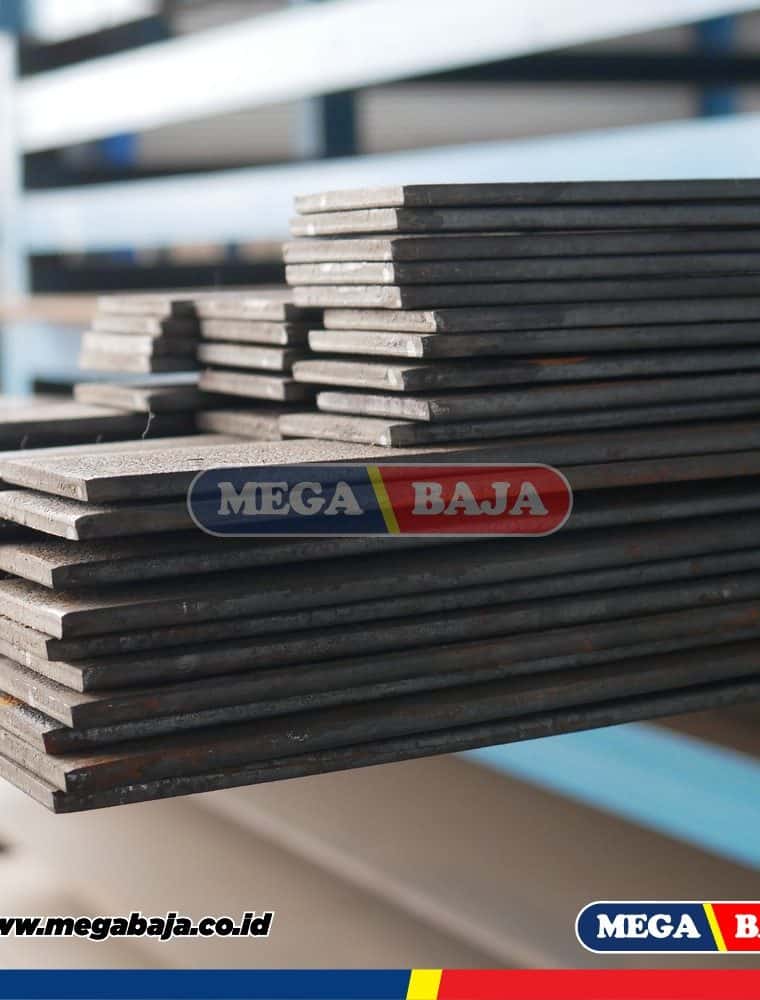 PLAT STRIP 19 x 75 x 6