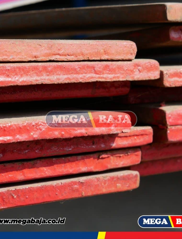 PLAT STRIP 3 X 19 X 6