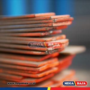 PLAT STRIP 3 X 20 X 3