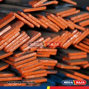 PLAT STRIP 9 X 25 X 6