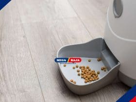 Alat Elektronik yang Wajib Ada di Rumah Pet Owner dan Cara Menjaga Rumah Tetap Bersih Meski Punya Peliharaan