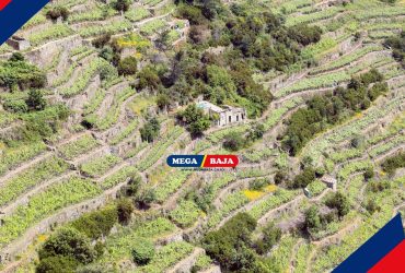 Tips and Trik Mendesain Rumah di Tanah Berundak