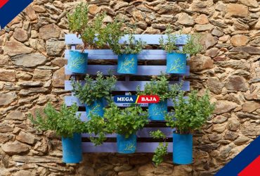 Kreativitas Tanpa Batas! 8 Dekorasi Dinding Murah dari Barang Bekas