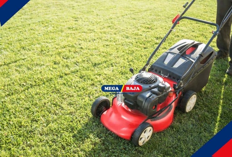 Tips Memilih dan Rekomendasi Mesin Pemotong Rumput Terbaik