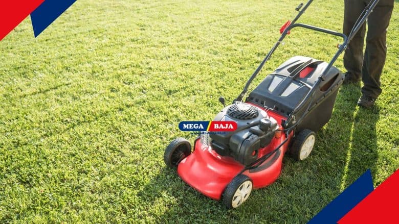 Tips Memilih dan Rekomendasi Mesin Pemotong Rumput Terbaik