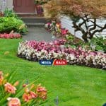 Mengenal Softscape pada Arsitektur Lanskap dan Perbedaannya dengan Hardscape