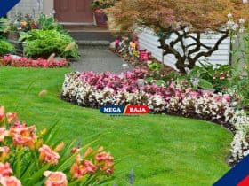 Mengenal Softscape pada Arsitektur Lanskap dan Perbedaannya dengan Hardscape