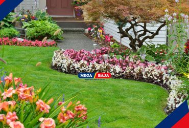 Mengenal Softscape pada Arsitektur Lanskap dan Perbedaannya dengan Hardscape