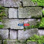 Moss Wall Art_ Karya Seni Alami untuk Dinding yang Ramah Lingkungan