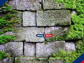 Moss Wall Art_ Karya Seni Alami untuk Dinding yang Ramah Lingkungan