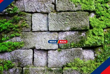Moss Wall Art_ Karya Seni Alami untuk Dinding yang Ramah Lingkungan