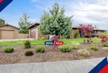 Tanaman Penutup Tanah_ Solusi Estetika dan Ramah Lingkungan di Taman Rumah