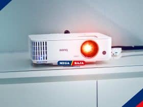 Membuat Bunga Kering Sebagai Hiasan Dekoratif di dalam Ruangan