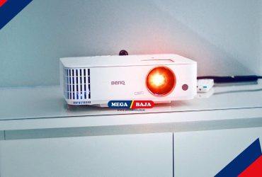 Membuat Bunga Kering Sebagai Hiasan Dekoratif di dalam Ruangan