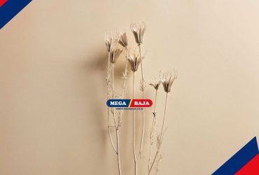 Membuat Bunga Kering Sebagai Hiasan Dekoratif di dalam Ruangan