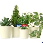 Tips Memadukan Tanaman Asli dan Artifisial untuk Dekorasi Rumah yang Tahan Lama