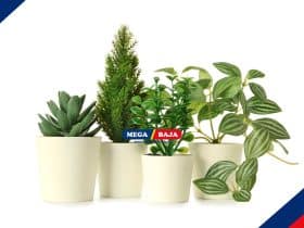 Tips Memadukan Tanaman Asli dan Artifisial untuk Dekorasi Rumah yang Tahan Lama