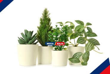 Tips Memadukan Tanaman Asli dan Artifisial untuk Dekorasi Rumah yang Tahan Lama