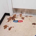 Mengenal Kick Plate dan Manfaatnya pada Pintu