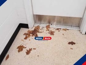 Mengenal Kick Plate dan Manfaatnya pada Pintu
