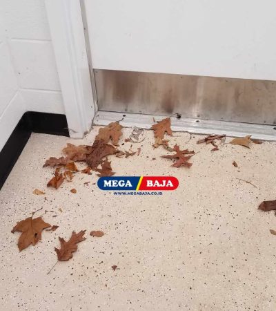 Mengenal Kick Plate dan Manfaatnya pada Pintu