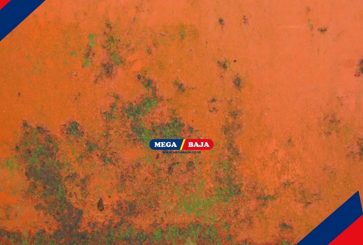 Simak Tips Mencegah dan Menghilangkan Lumut Dinding dengan Bahan Rumahan