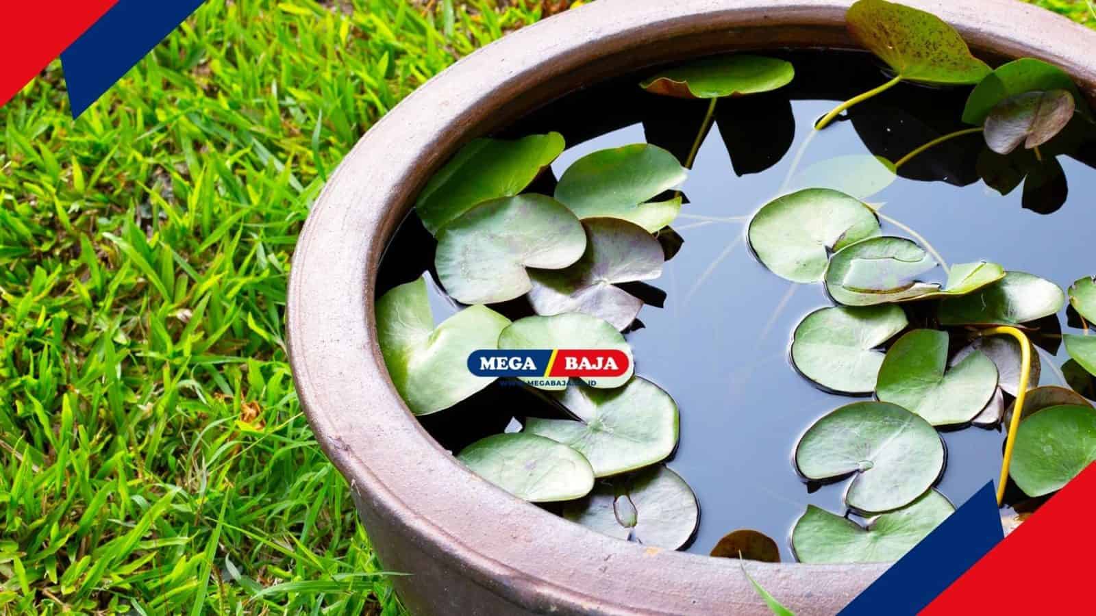 Cara Membuat Taman_Kolam Air Hias dalam Pot di Rumah