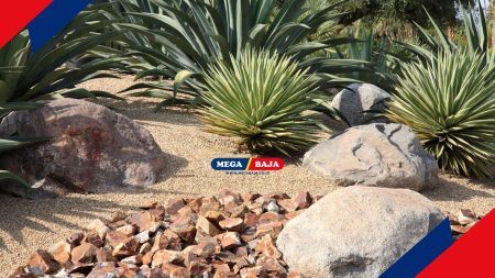 Xeriscape_ Rahasia Punya Taman Cantik Tanpa Tagihan Air Membengkak