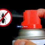 9 Rekomendasi Obat Pembasmi Rayap Semprot