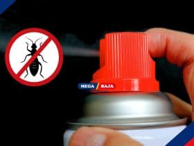 9 Rekomendasi Obat Pembasmi Rayap Semprot