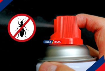 9 Rekomendasi Obat Pembasmi Rayap Semprot