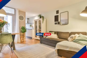 Gampang! Ini 12 Cara Mengusir Bau Kucing di Rumah (1)