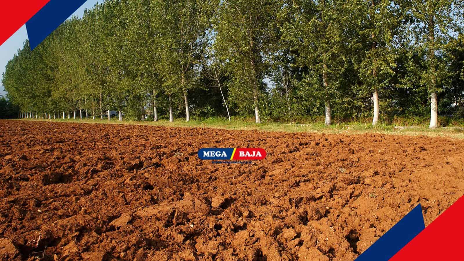 Mengenal Apa Itu Uji Atterberg dalam Konstruksi