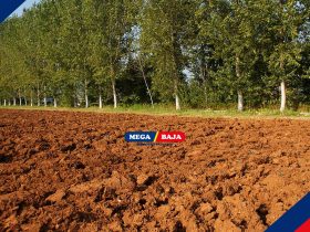 Mengenal Apa Itu Uji Atterberg dalam Konstruksi