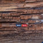 Gak Mau Kayu Cepat Rapuh_ Coba 6 Teknik Pengawetan Kayu Ini!