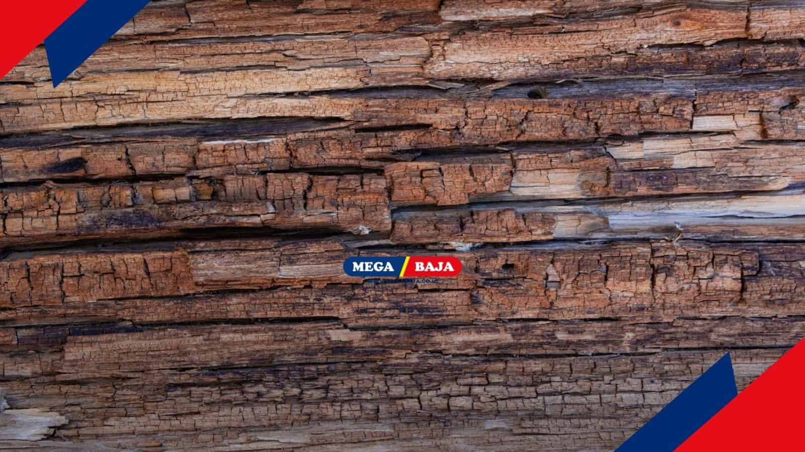 Gak Mau Kayu Cepat Rapuh_ Coba 6 Teknik Pengawetan Kayu Ini!