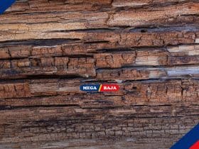Gak Mau Kayu Cepat Rapuh_ Coba 6 Teknik Pengawetan Kayu Ini!