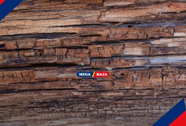 Gak Mau Kayu Cepat Rapuh_ Coba 6 Teknik Pengawetan Kayu Ini!