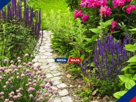 Ide Desain Jalan Setapak di Halaman Rumah dan Tips Penataannya
